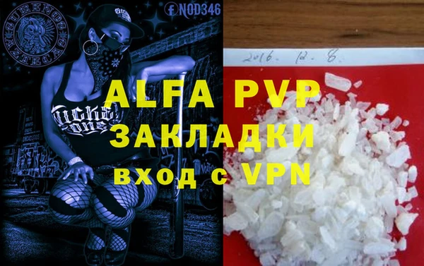 молекула духа Богданович