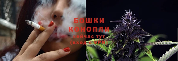 молекула духа Богданович