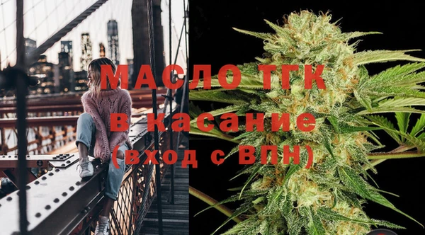 молекула духа Богданович