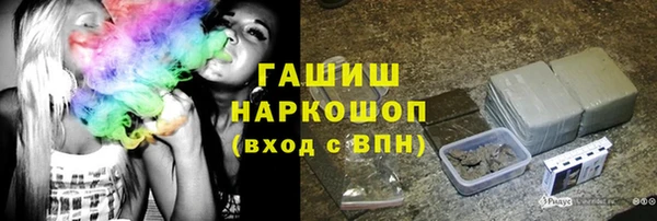 молекула духа Богданович