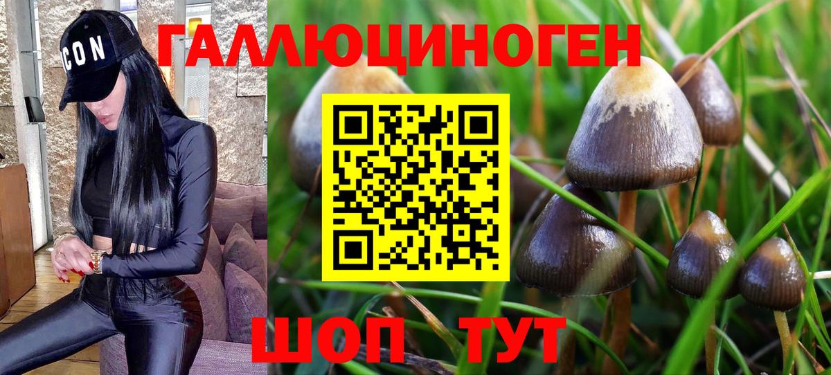 Галлюциногенные грибы Magic Shrooms  Вход с VPN  Северск 