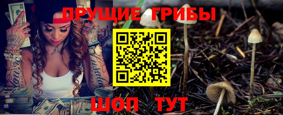 Псилоцибиновые грибы прущие грибы Северск